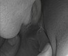  Patron se tape dans tout les sens sa secr�taire