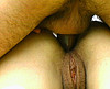coquin a telecharger