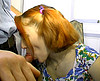  Jeune �tudiante rousse encul�e !