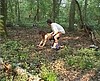 Vid�o : Totale dans les bois !