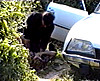  Elle fait de l'auto-stop et une voiture s'arr�te.. 