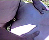  Elle fait de l'auto-stop et une voiture s'arr�te.. 