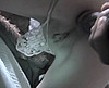  Ce soir, Coquinette re�oit des amis pour gang bang 