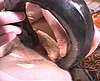 sexe  fella fella, video, porno, sexe, telecharger, videos, fella, gratuit, tube