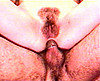  Casting sp�cial chatte poilue - Brunette en trio 