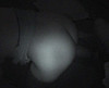video porno  club libertin