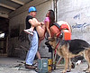  D�fonce sur le chantier