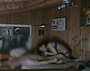 Video : Une cam�ra voyeur filme les �bats d'un couple
