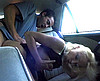 Vid�o : Sodomis�e dans la voiture