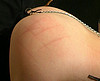  2 esclaves soumises � leur ma�tre