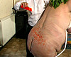 video porno  domina