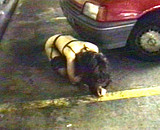 Brune p�n�tr�e sauvagement dans un parking